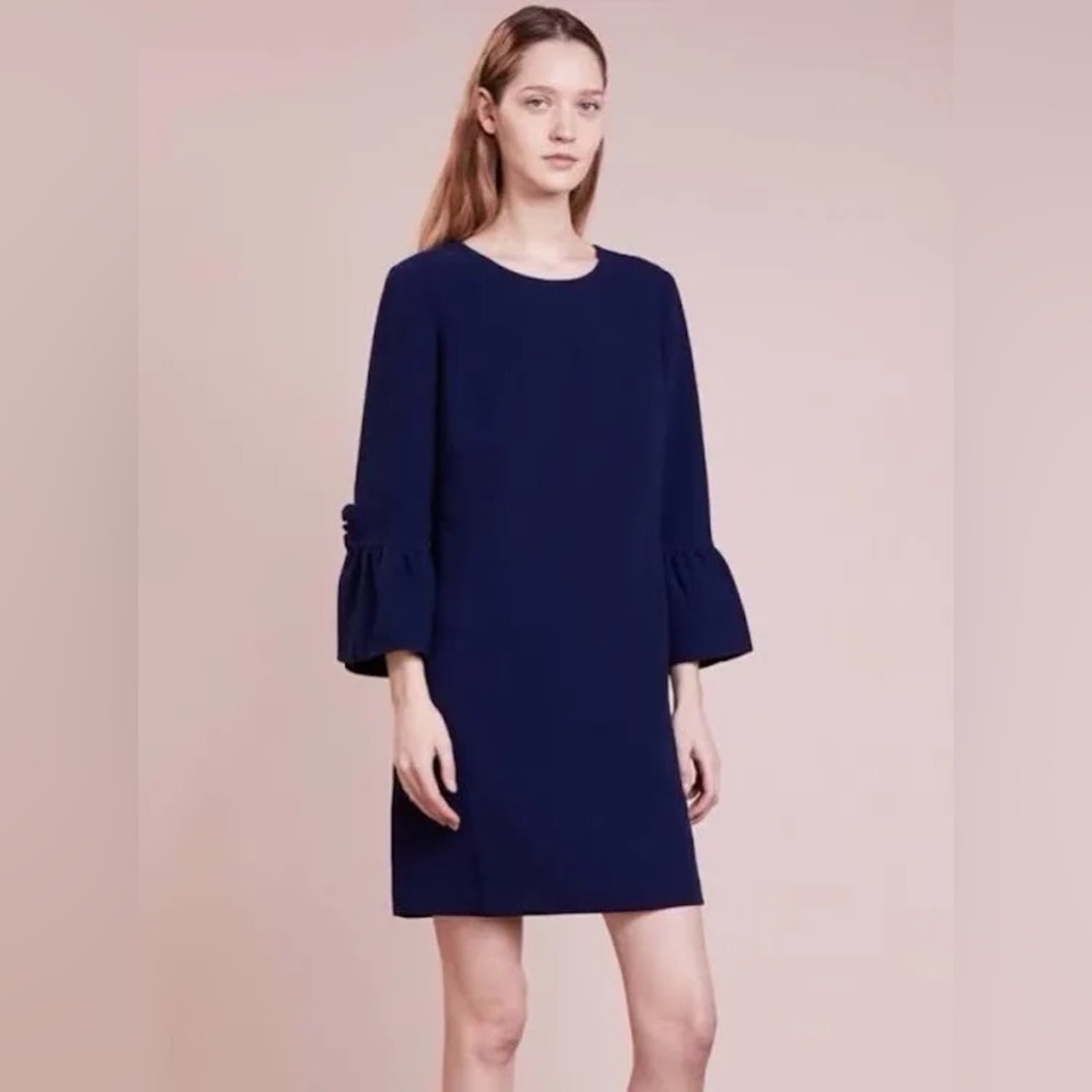 Navy Ruffle Sleeve Dress